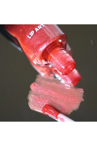 49 LIP ART ROBYN BRILLO